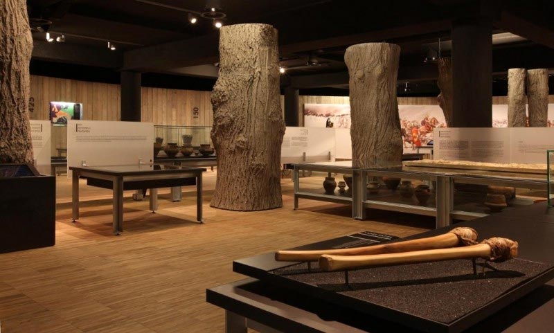 Галло-римский музей в Тонгерене